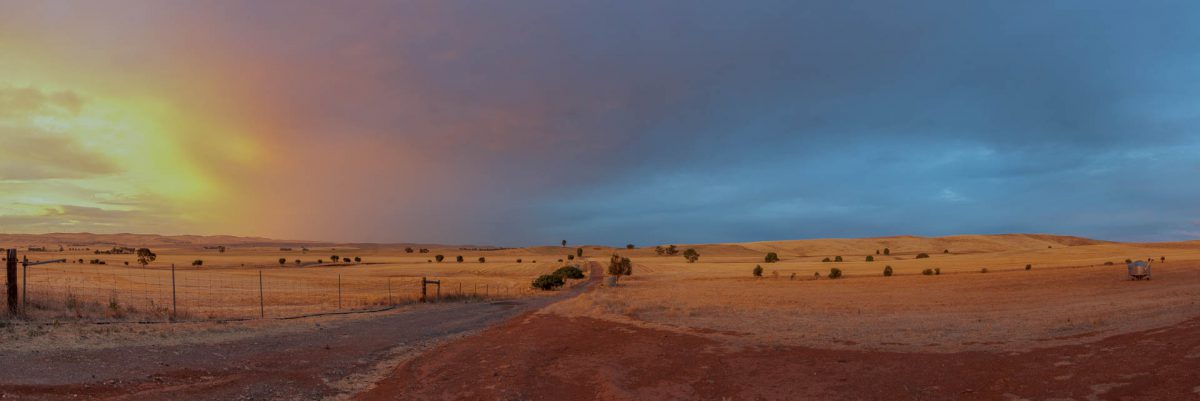 Farm sunset in south Australia